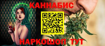 индика Славгород