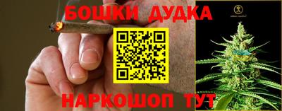 индика Славгород